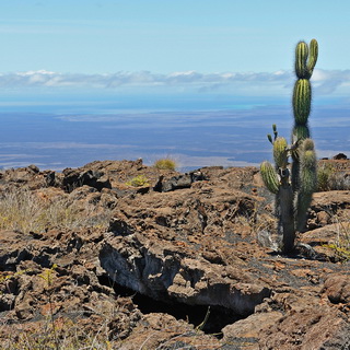 Galapagos - Isabela - Volcan Chico